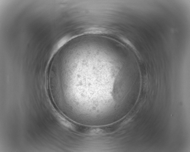 X0000079341467200611251844
