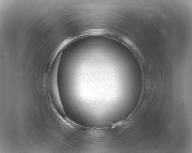 X0000079341473200611251844