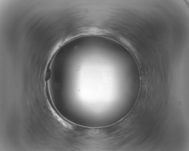 X0000079341479200611251844