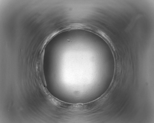 X0000079341481200611251844