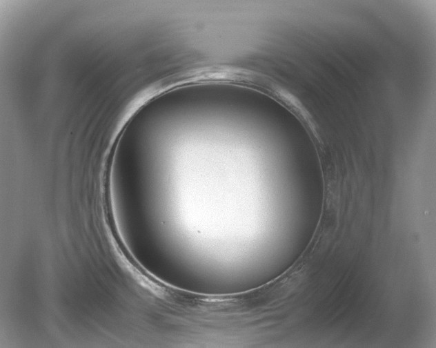 X0000079341483200611251844