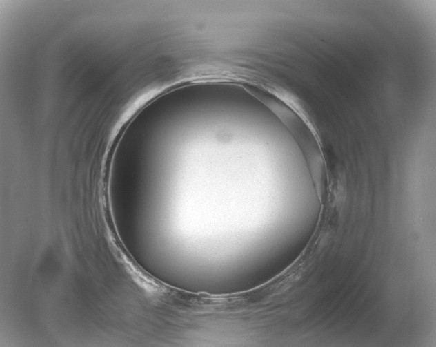 X0000079341485200611251844