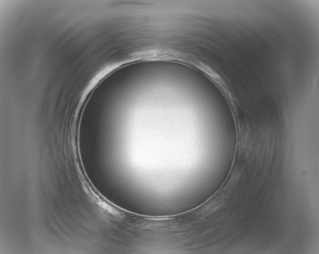 X0000079341486200611251844