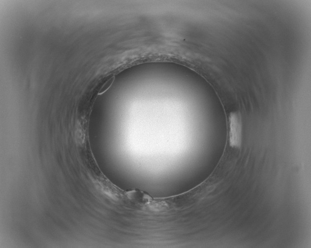 X0000079341491200611251843