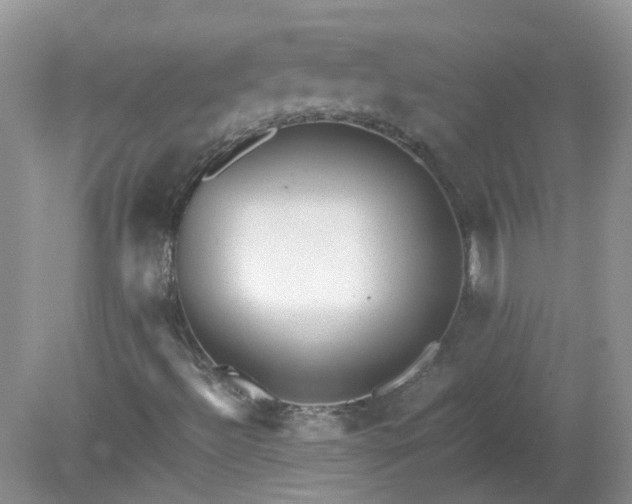 X0000079341492200611251843