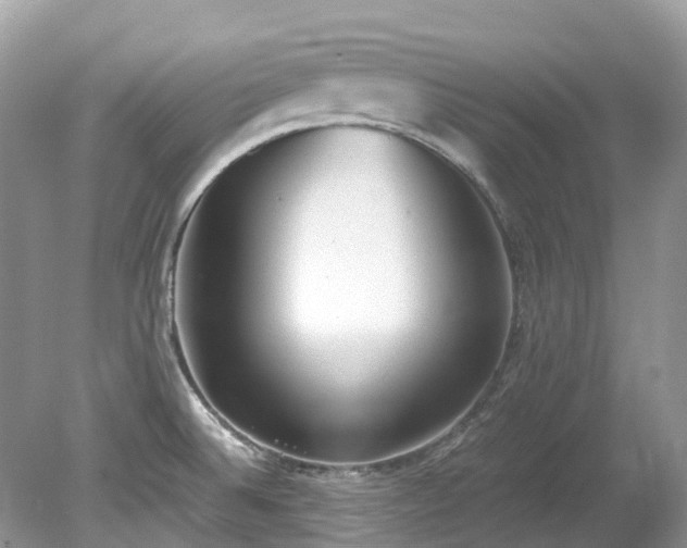 X0000079341524200611251843