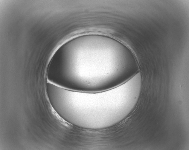 X0000079341532200611251844