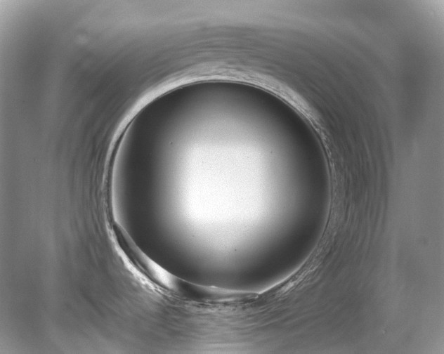 X0000079341536200611251844
