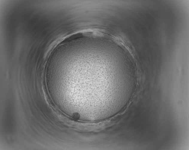 X0000079340001200612011946