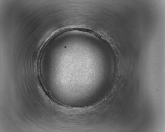 X0000079340002200612011946