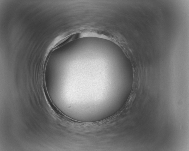 X0000079340003200612011946