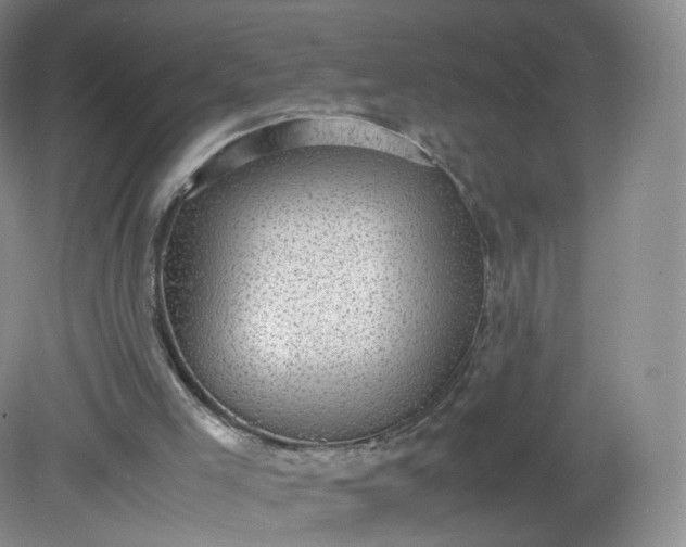 X0000079340005200612011946