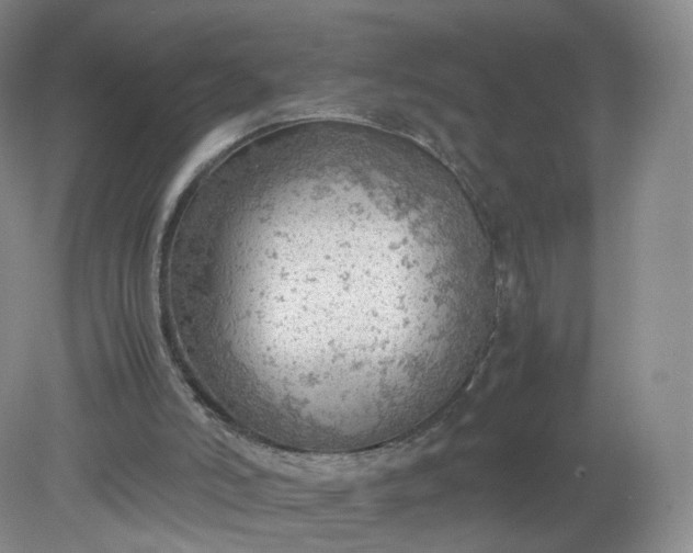 X0000079340006200612011946