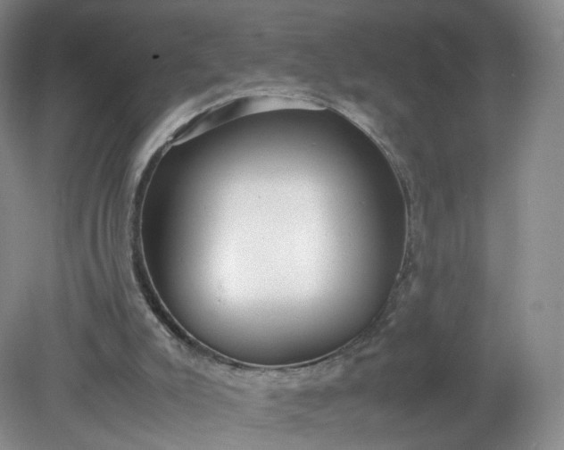 X0000079340007200612011946