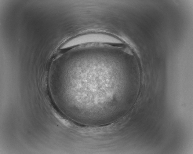 X0000079340009200612011946