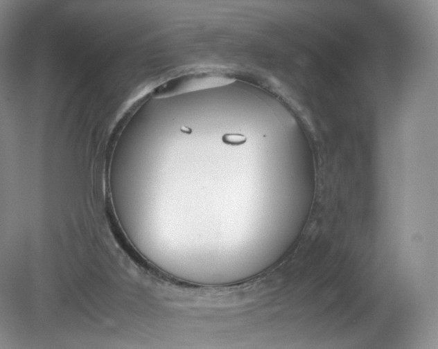 X0000079340011200612011946