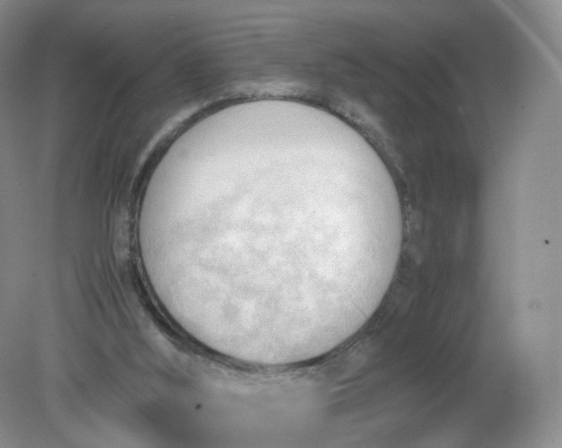 X0000079340012200612011945