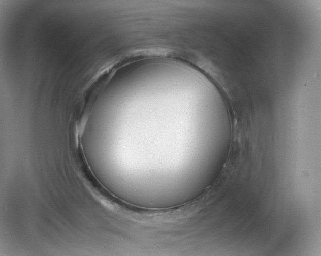 X0000079340013200612011945