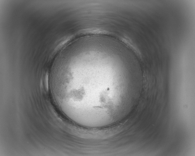 X0000079340014200612011945