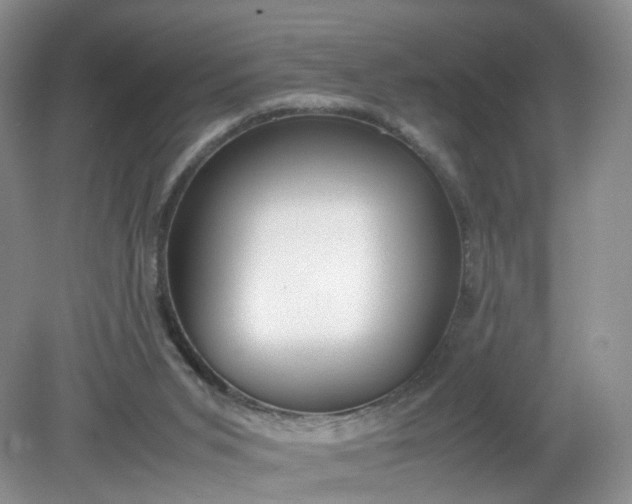 X0000079340015200612011945