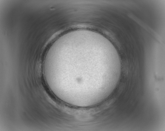 X0000079340016200612011945