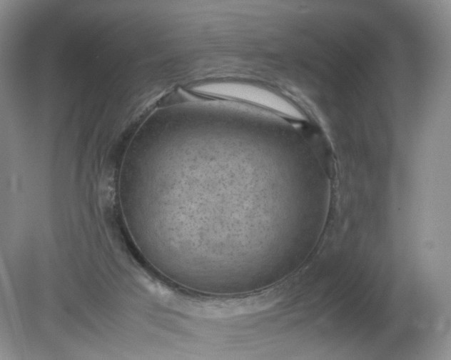 X0000079340017200612011945