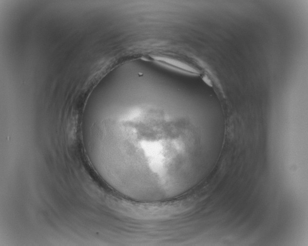 X0000079340018200612011945