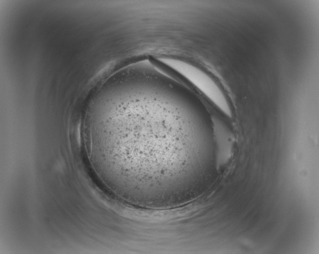 X0000079340019200612011945