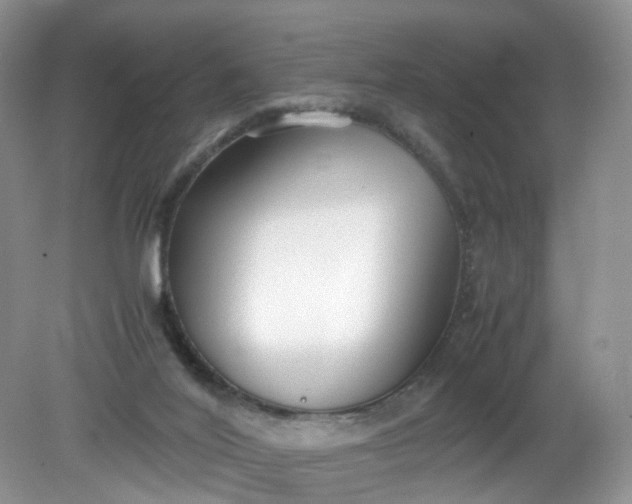 X0000079340020200612011945