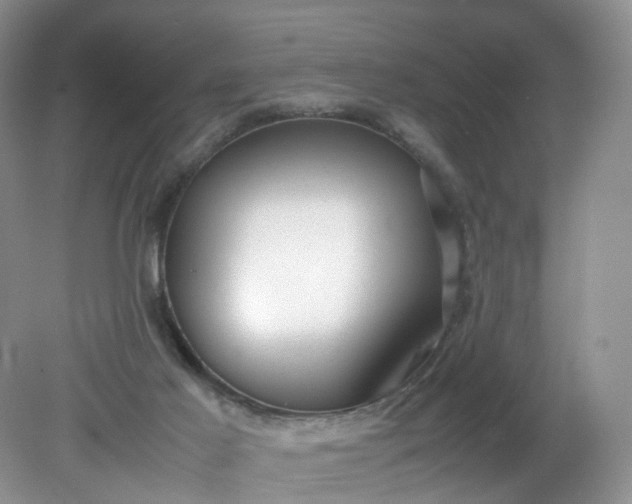 X0000079340021200612011945