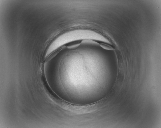 X0000079340023200612011945