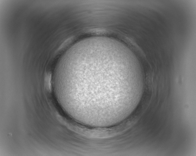 X0000079340024200612011945