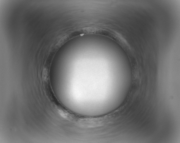 X0000079340025200612011945