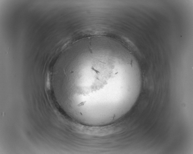 X0000079340026200612011945