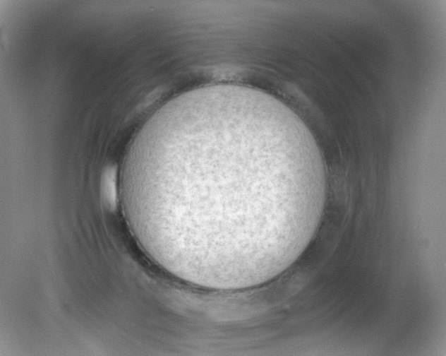 X0000079340028200612011945