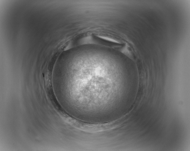 X0000079340029200612011945