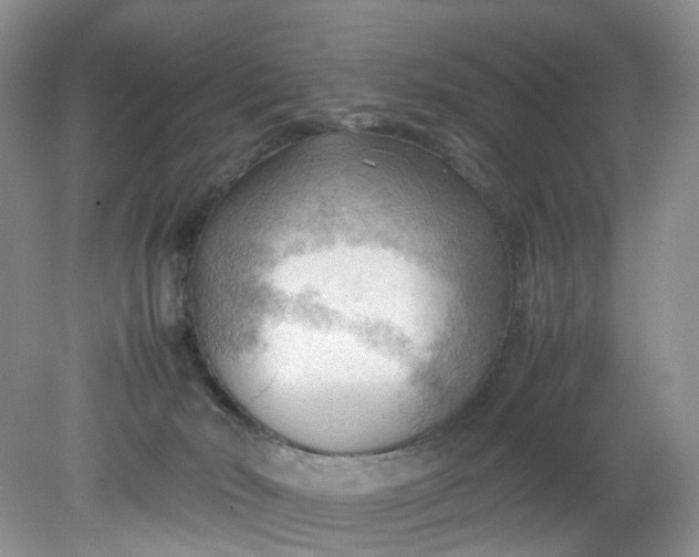 X0000079340030200612011945