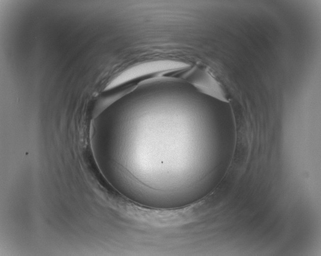 X0000079340031200612011945