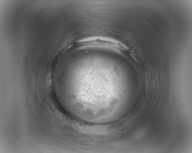 X0000079340032200612011945