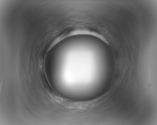 X0000079340033200612011945