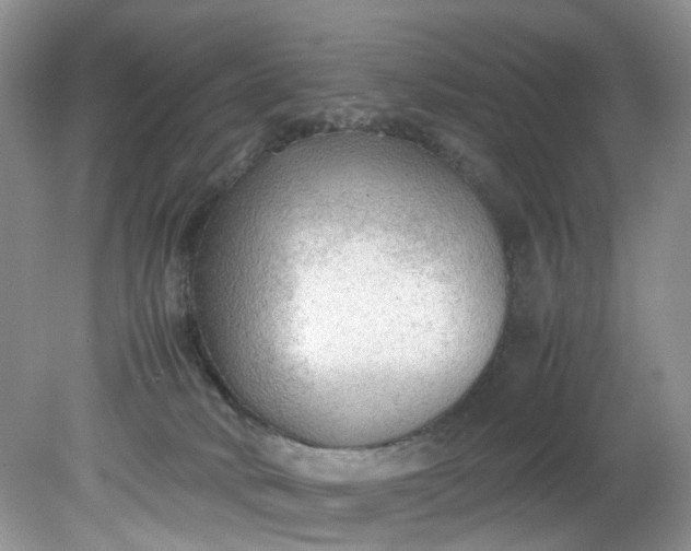 X0000079340034200612011945