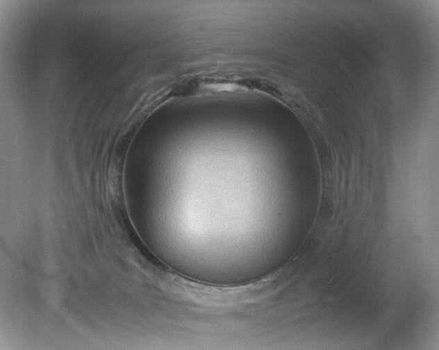 X0000079340035200612011945