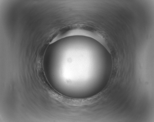 X0000079340037200612011945