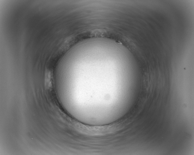 X0000079340038200612011945