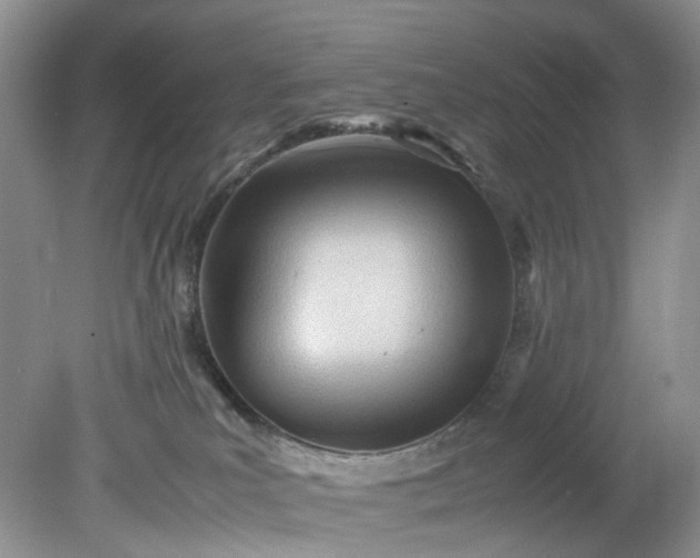 X0000079340039200612011945