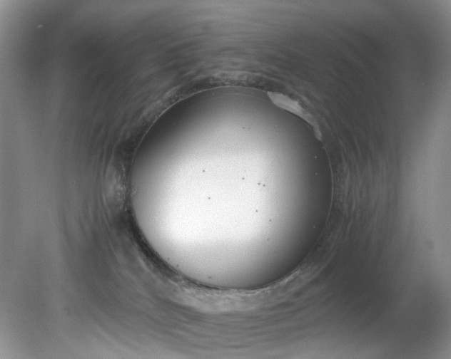 X0000079340040200612011945