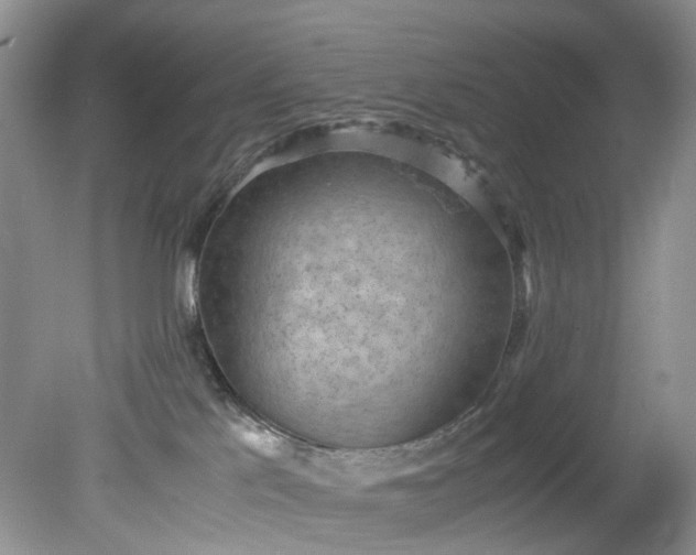 X0000079340041200612011945