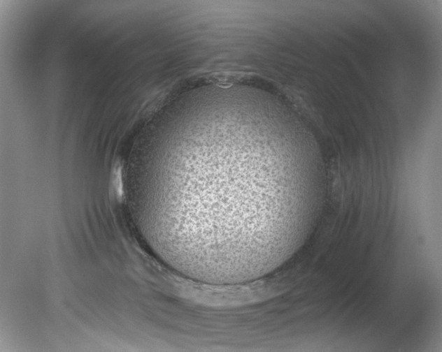 X0000079340042200612011945