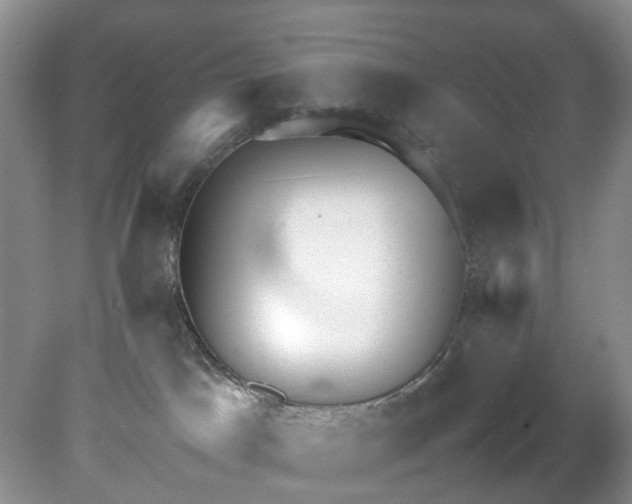 X0000079340045200612011945