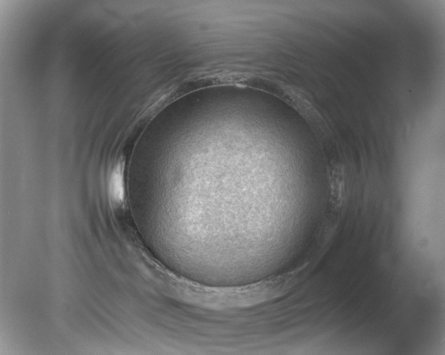 X0000079340046200612011945